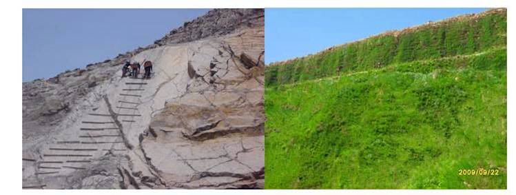 濟南巖質邊坡噴播高次團粒綠化